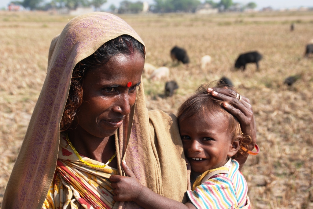 Pig nomads have to carry along all family members