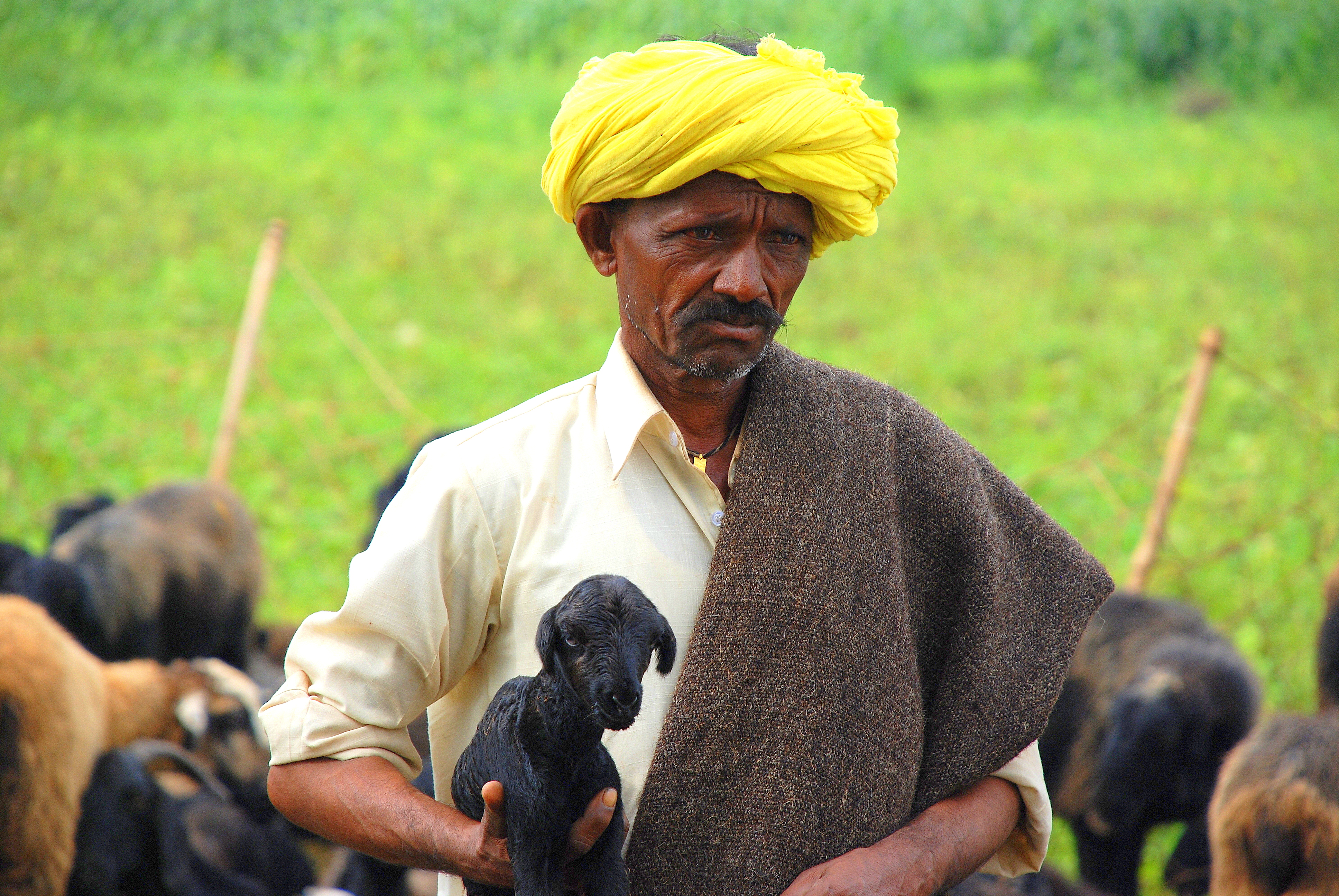 Pastoralists - like this Kuruba shepherd from India - know how to combine food production and care for the environment. We should learn from them! And support their "Livestock Keepers' Rights"