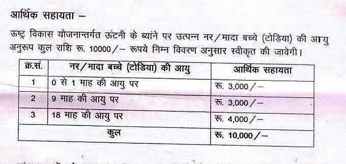 rajasthan-camel-scheme-cropped