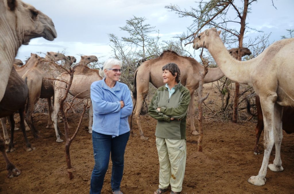 Two important actors in Kenya's camel scene: Anne Bruntse (l) and Amanda Perrett