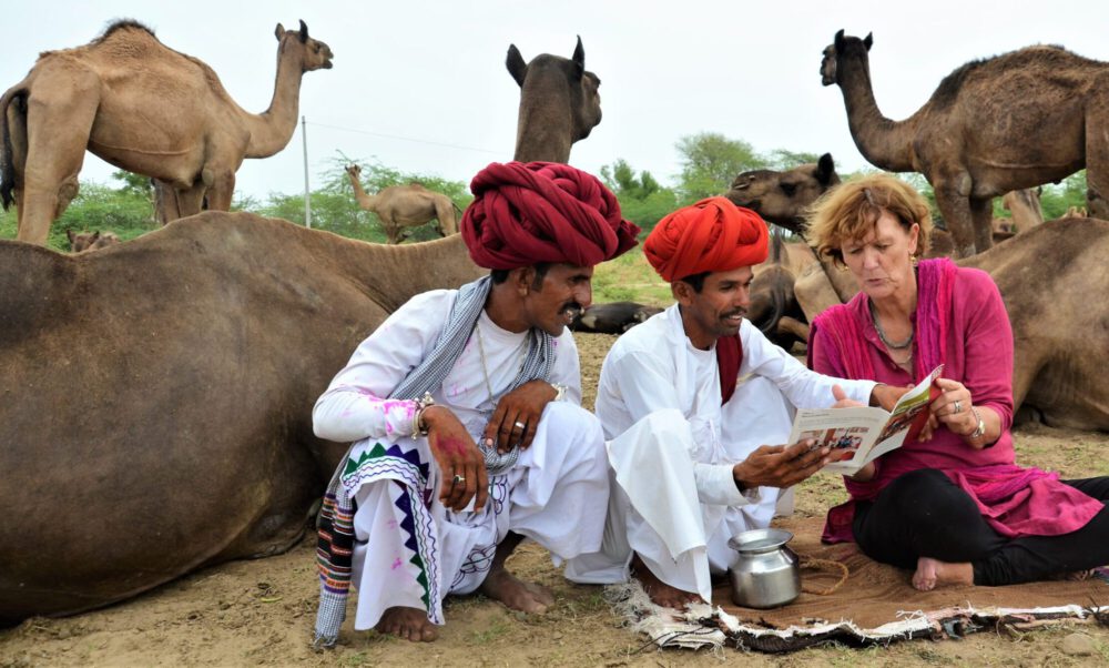 A brief encounter with the camel culture of Saudi Arabia and how
